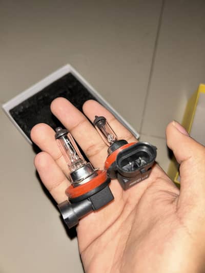 Halogen fog lamps light original H11 12V 55W