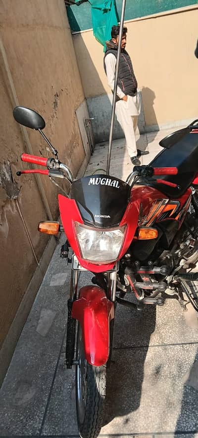 lush condition All ok