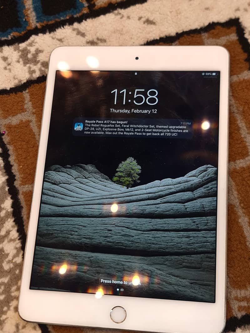 ipad mini 4 2