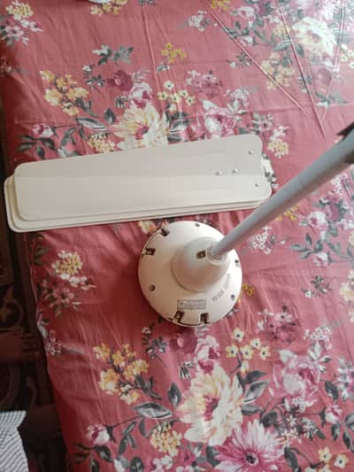 Pak fan 03055909878 watsapp