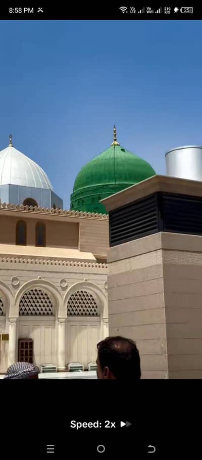 vivo y17s 6/128 with box charger