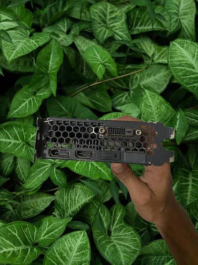 GTX 1060 6gb Single fan