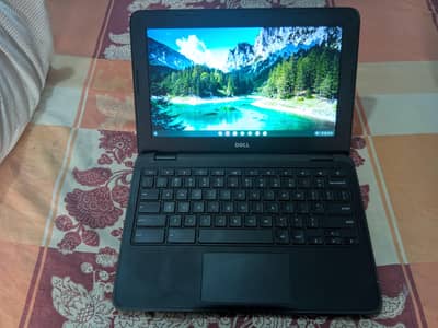 Dell Chromebook 11 3180 with mouse