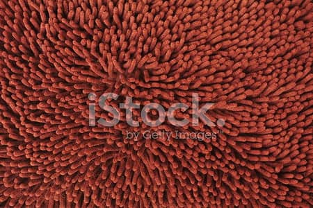 carpet for sale just like new