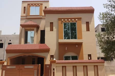 Rockwall & Graphy - Auto Garafi -rockwall - paint Polish - Wall Paint