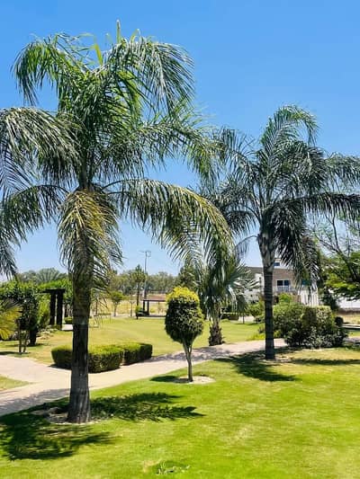 In Top City 1 - Block C Residential Plot Sized 1 Kanal For sale