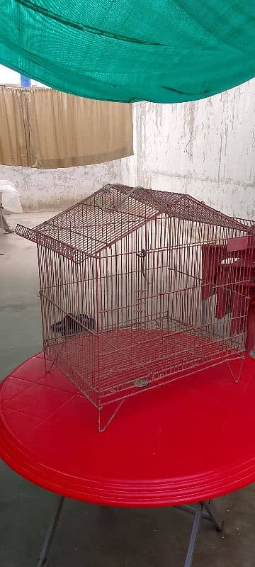 bird cage