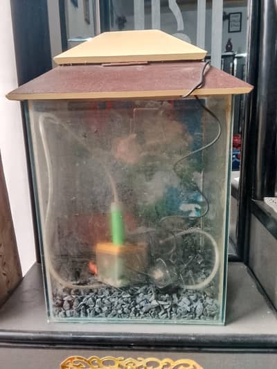 fish aquarium with complete assesories