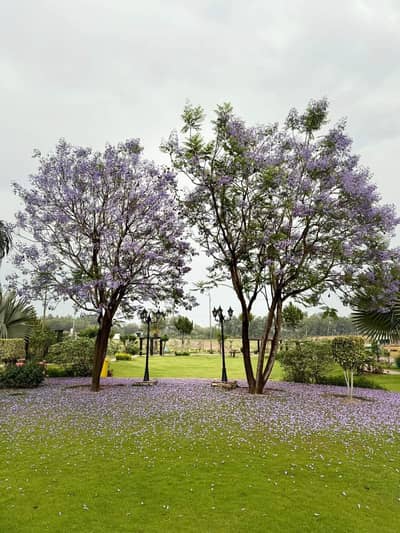 5 Marla Plot ( 25* 50 ) In Block G. Possession Plot Residential Plot Available For Sale In Top City-1 Islamabad.