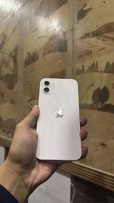 I phone 12 pta approved