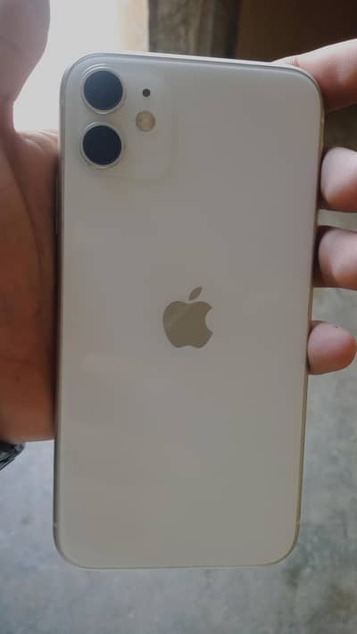 Iphone 11 panel dead