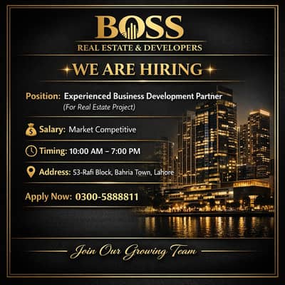 Experienced Business Development Partner (Real Estate Project)
