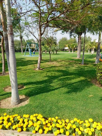 Beautiful house with green lande Available