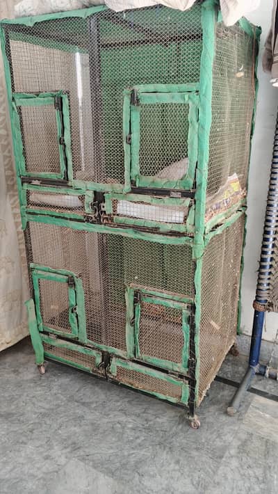 birds cage