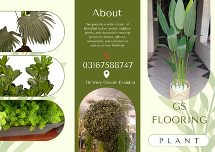 Artificial plant-Hanging Bale-Artificial money plant-Wall hanging bale