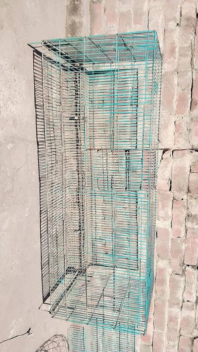 hen parrots cage