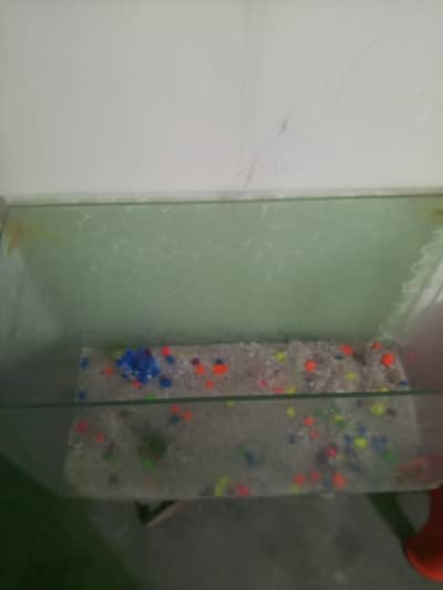 just aquarium urgent sale