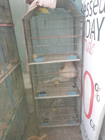 cage with breeder pair