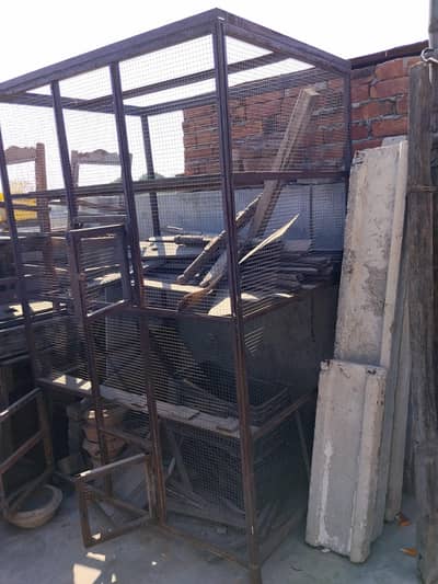 Hens Cage