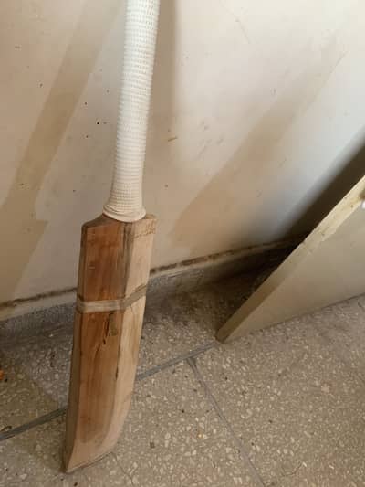 Hardball cricket bat