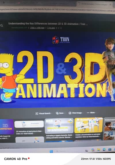 2D / 3d animated video maker required