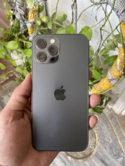 256 GB 12 pro max PTA aprov with box