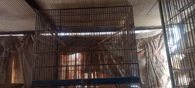 iron cage for sale