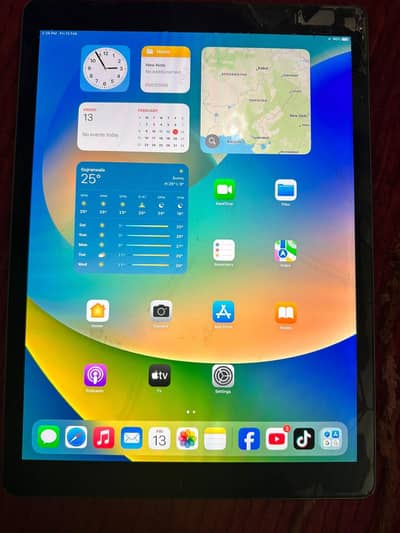 ipad pro 1st jen 12.9 display 256gb