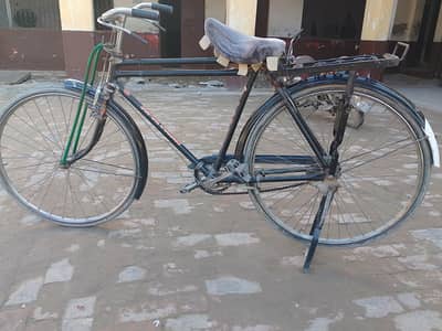 Medium size -- Sohrab