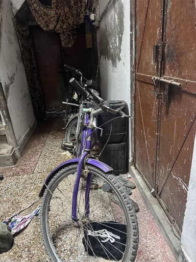 Bicycle for sale
