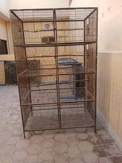 birds cage