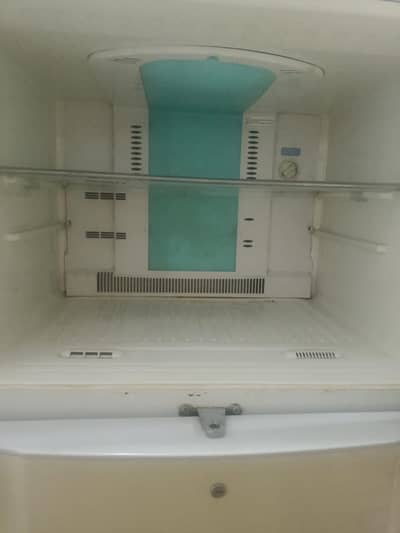 large size fridge