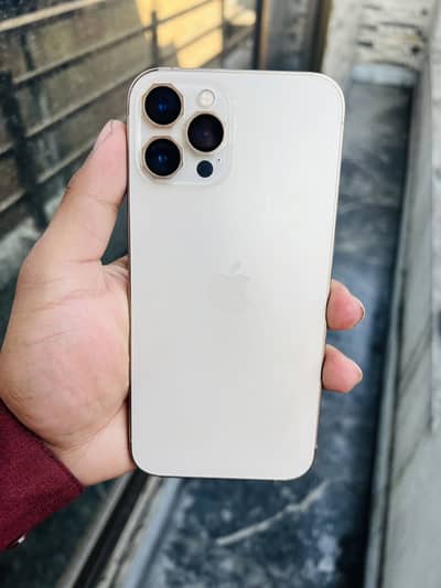 iPhone 12 pro max dual pta