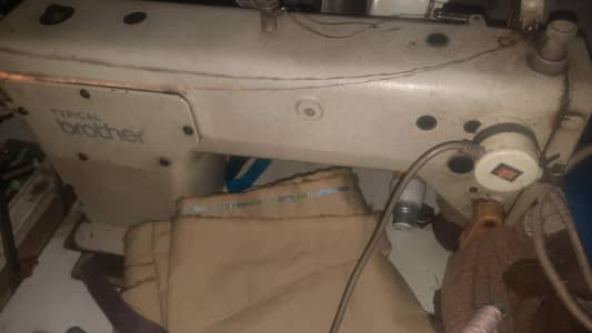 1 Brother & 1 Sunstar