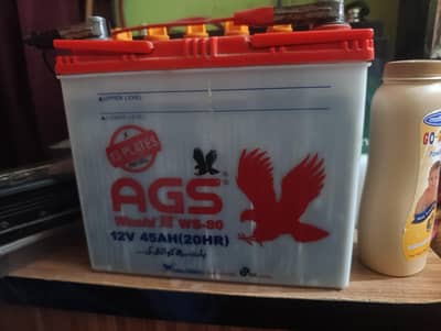 AGS 45Amp battery with Fast 30Amp charge