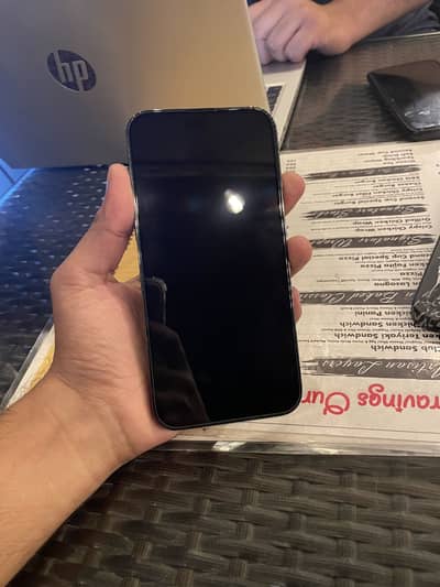 15 pro max original panal 100%