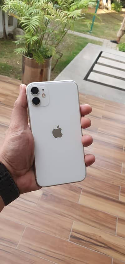 Iphone 11 (Official PTA Approved)