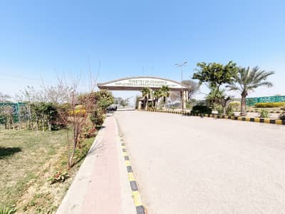 Plot File Of 1125 Square Feet For sale In E-19