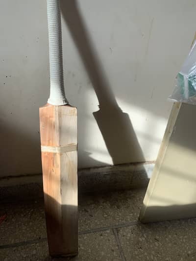 Hardball cricket bat