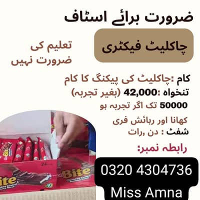 Need urgent staff in chocolate packing factory