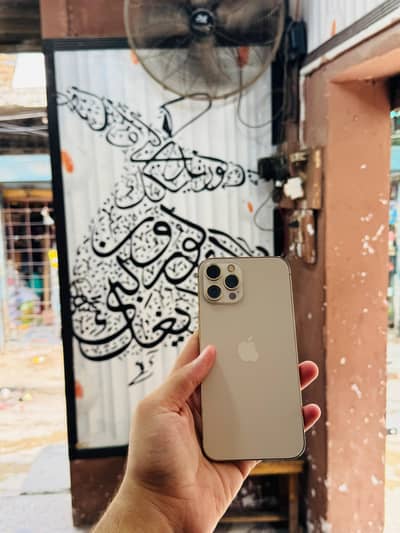 iphone 12 Pro Max 256GB PTA Approved 92 Health Waterpack