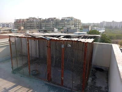 Pigeon Cage for sale