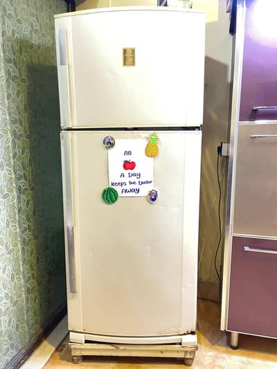 Dawlance Large Fridge Size – Urgent Sale