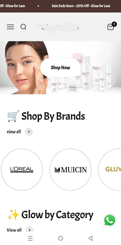 Running online eCommerce Skin Care/Cosmetics Website for Sale