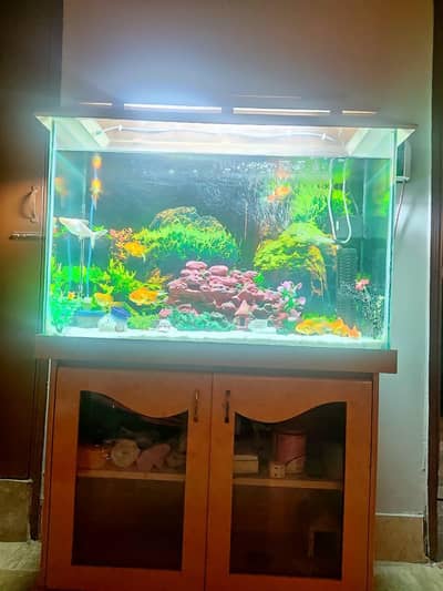 3 foot Aquarium with All Accessories