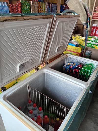 waves freezer  double door