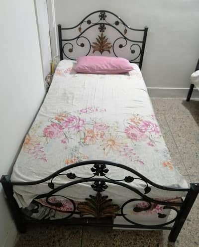 Single iron Bed
