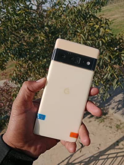 google pixel 6pro 12/128 approved