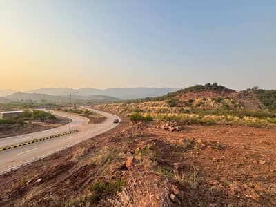 Adjacent Maira-II Forest | Double Road | Park Face