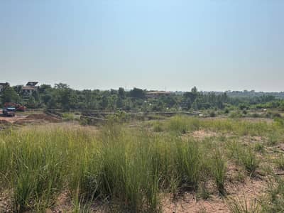 South Face | Level Plot | Closed End Street